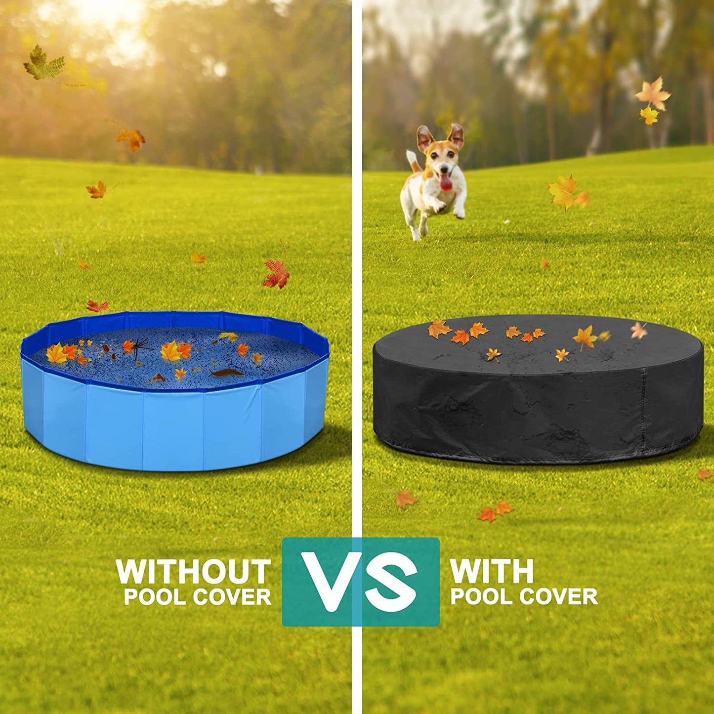 Dog Swimming Pool: Durable Foldable Pet Bath Tub