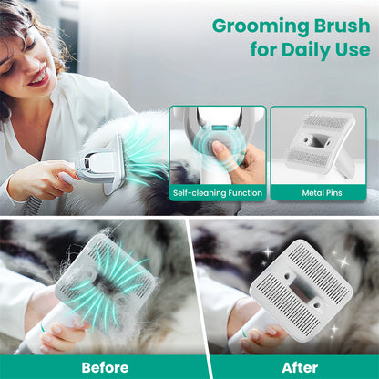 Pet Grooming Vacuum Kit: INSE P20, 99% Hair Collection
